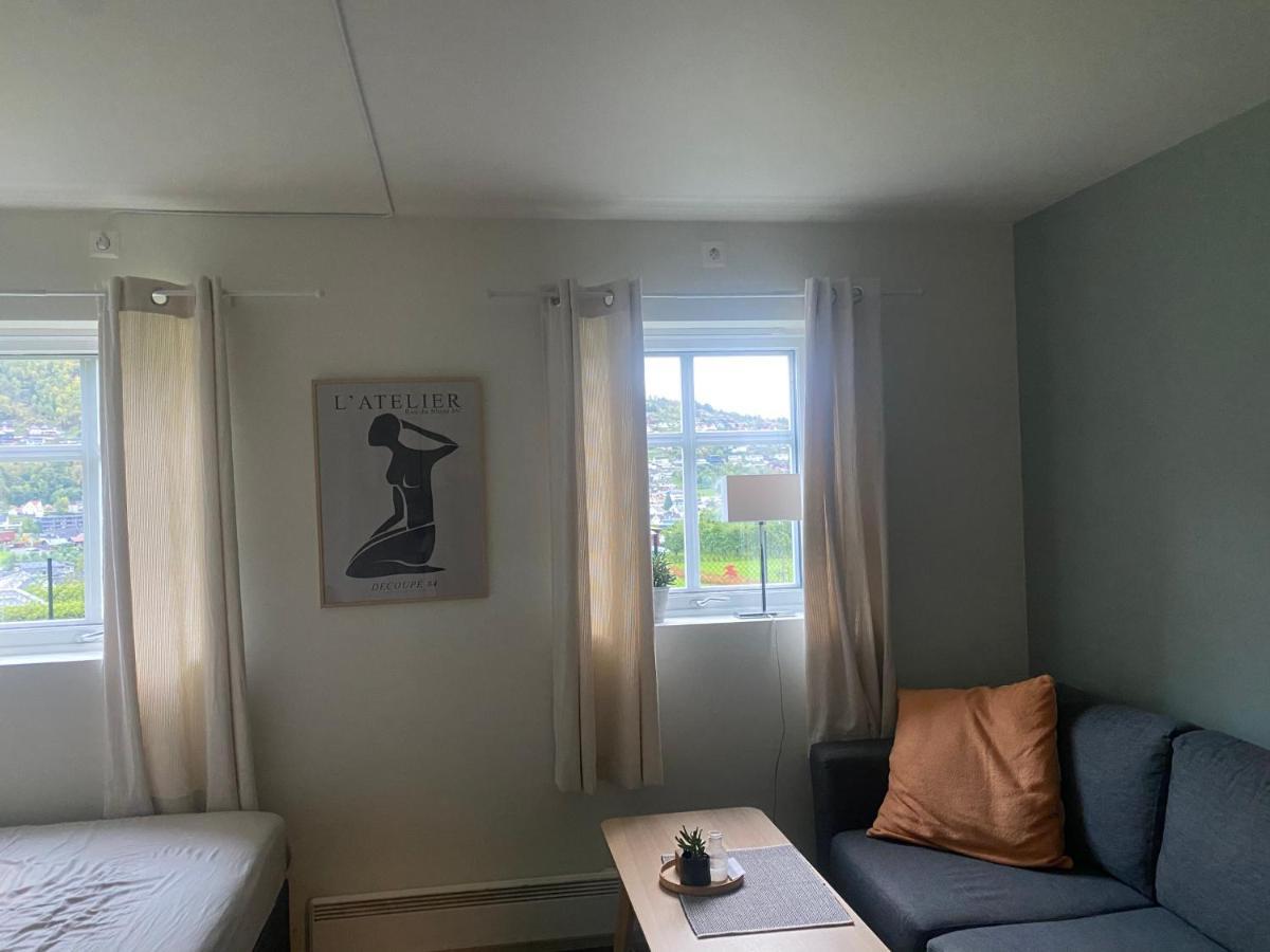 Nyoppusset Leilighet Sogndal Exteriér fotografie